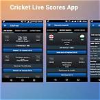 cricket bet live score